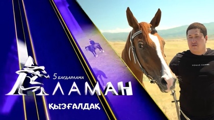 «Аламан». 5 бағдарлама. Қызғалдақ