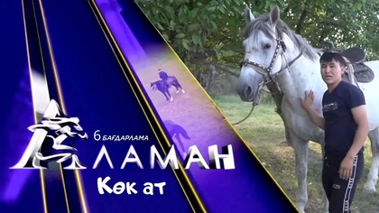 «АЛАМАН». 6 бағдарлама. Көк ат