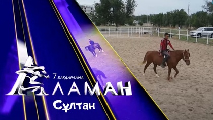 «АЛАМАН». 7 бағдарлама. Сұлтан