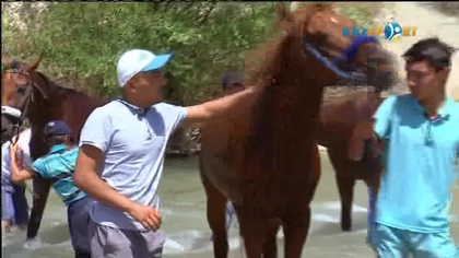 Сәйгүлік сыны. «Алтын тұлпар» аламан бәйгесіне арнайы жоба