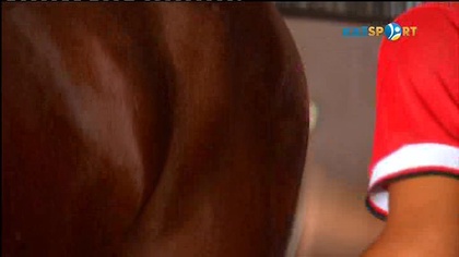 Сәйгүлік сыны. «Алтын тұлпар» аламан бәйгесіне арнайы жоба (30.08.2017)