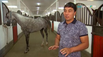 Сәйгүлік сыны. «Алтын тұлпар» аламан бәйгесіне арнайы жоба (01.09.2017)