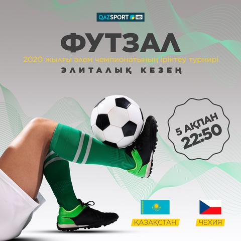 Футзал. Казахстан-Чехия