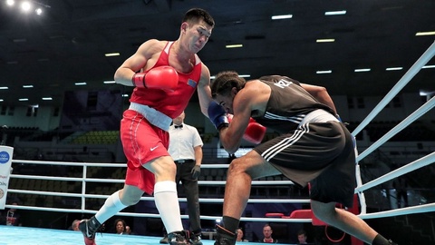 Бокстан Азия/Океания аймақтық іріктеу турнирі жалғасуда