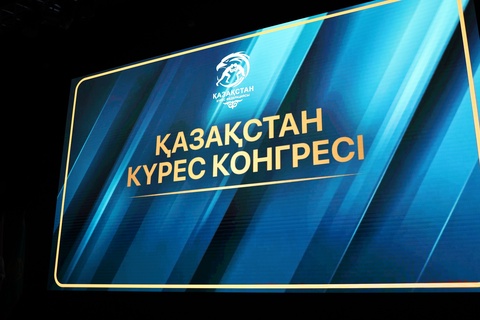 Биыл күзде Қазақстан күрес түрлерінен әлем чемпионатын қабылдайды 