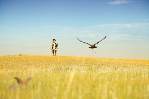 Моңғолиядағы қазақтар құсбегілікті жаңғыртуға үлкен үлес қосуда