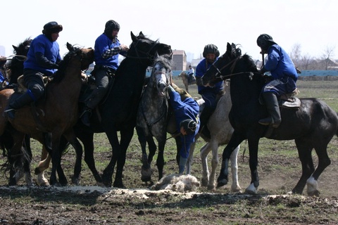Көкпар. Оңтүстік Қазақстан облысы - Астана қаласы (ВИДЕО)