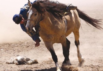 Көкпардың соңы атысқа ұласты