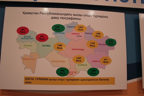 Облыстық спорт басқармалары сынға ұшырады