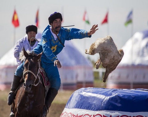 Қазақстан көкпарды патенттеу мақсатында жұмыс істеуде – Т.Есентаев