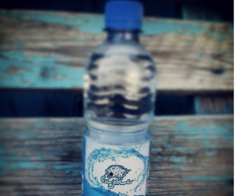 «Барыс» хоккей клубы өзінің жаңа өнімін шығара бастады