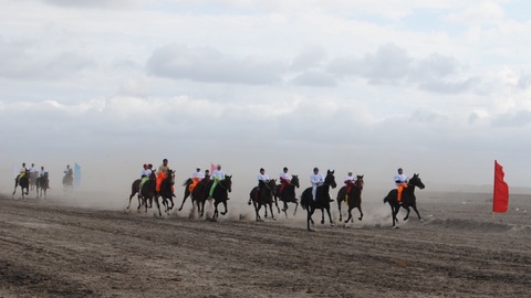 14 қыркүйек күні Астанада аламан бәйгеден Қазақстан чемпионаты өтеді
