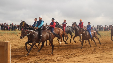 160 тұлпар бәсекеге түсетін «Алтын тұлпар» Республикалық аламан бәйге өтеді