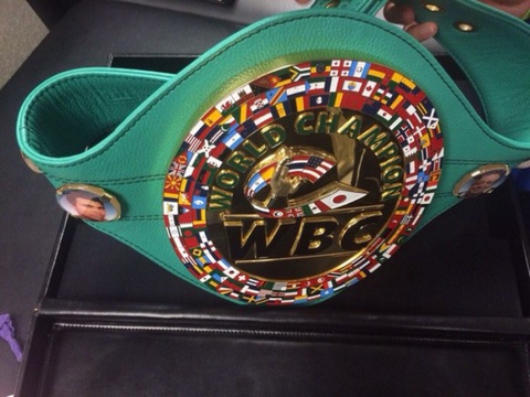 Геннадий Головкин келесі жекпе-жегін 2015 жылы өткізеді