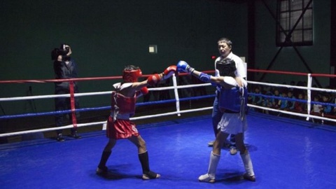 Шымкентте муай-тайдан алғашқы қала біріншілгі өтті