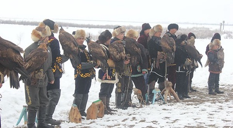 Таразда «Алтын қыран – жезқанат» атты кезекті құсбегілер сайысы өтті