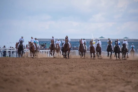 БӘЙГЕ. ҚР Елбасы жүлдесіне арналған «ЕХРО-2017» кубогы