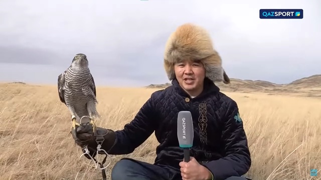 SPORT REVIEW | Ақпараттық-сараптамалық бағдарламасы | 11.10.2024