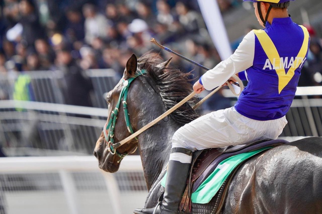 Жорға бәйге | V Дүниежүзілік көшпенділер ойындары