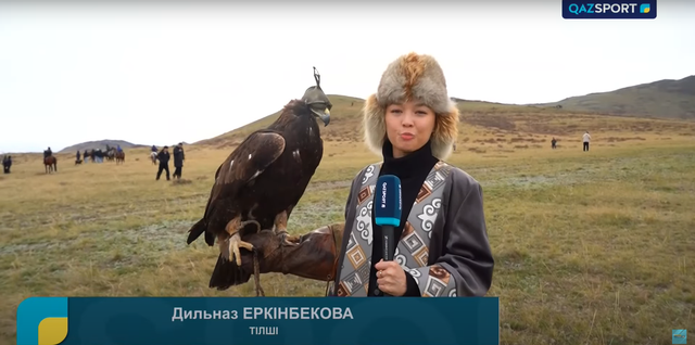 Арнайы репортаж. Дала саятшыларының сайысы