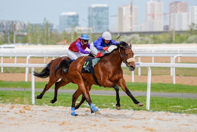 Ұшқыр бәйге | 1800 м | Astana Cup