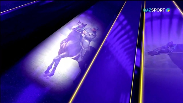 «АЛАМАН». 7 бағдарлама. Сұлтан