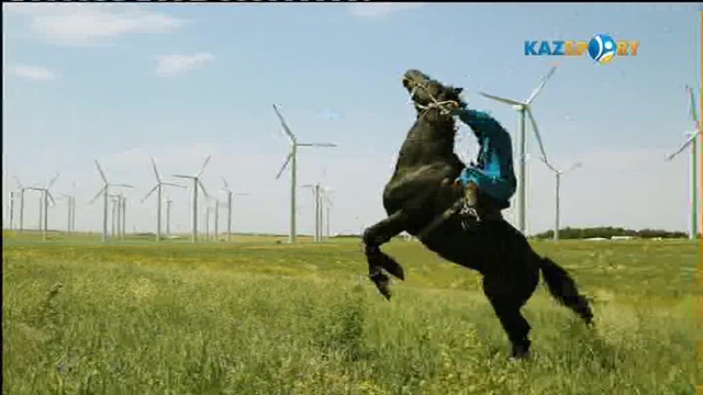 КӨКПАР. І Әлем чемпионаты. РЕСЕЙ - ВЕНГРИЯ (21.08. 2017)