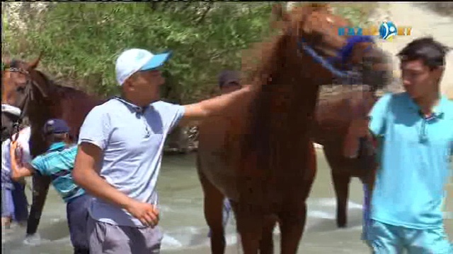 Сәйгүлік сыны. «Алтын тұлпар» аламан бәйгесіне арнайы жоба