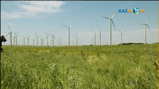 Көкпар. І Әлем чемпионаты. Қазақстан - Ауғанстан