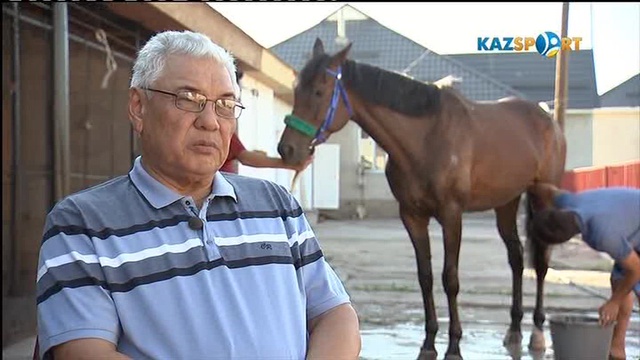 Сәйгүлік сыны. «Алтын тұлпар» аламан бәйгесіне арнайы жоба (29.08.2017)