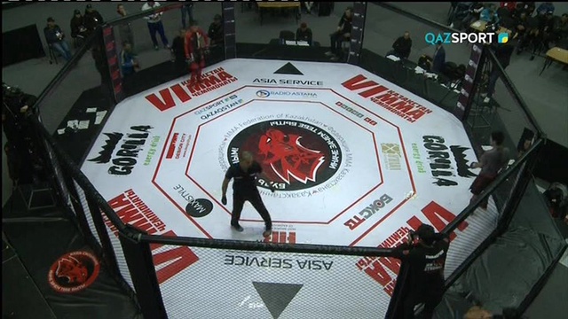 СМЕШАННЫЕ ЕДИНОБОРСТВА. Чемпионат Казахстана по ММА. Гран-при профессионалов 1/4 . Астана. 2 день