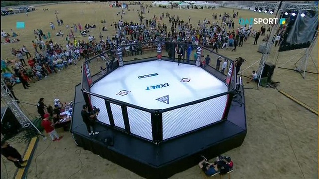 "СМЕШАННЫЕ ЕДИНОБОРСТВА. OCTAGON SELECTION. Vol.1 "