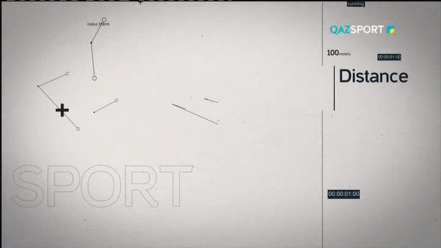 «Смешанные единоборства: год открытий и побед». Специальный репортаж