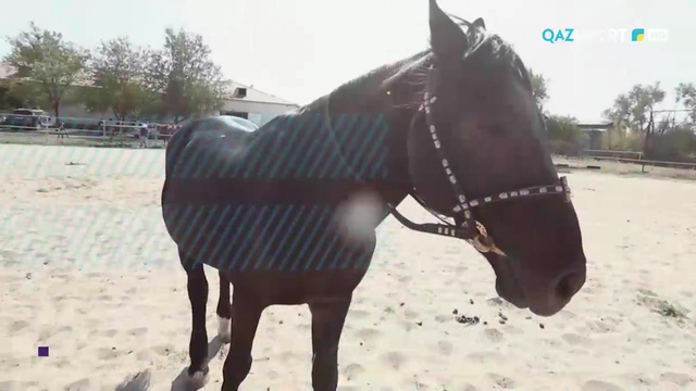 «СӘЙГҮЛІК СЫНЫ». 2 шығарылым