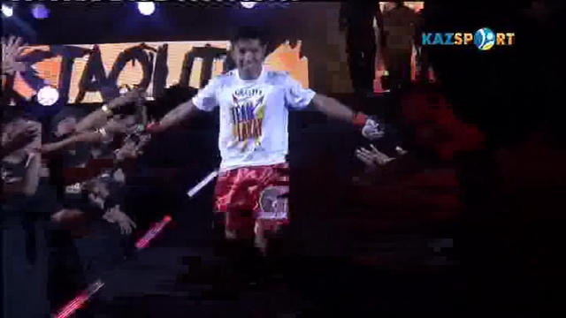 Смешанные единоборства