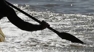 ICF байдарка мен каноэде есуден өтетін жарыстар туралы ресми мәлімет берді