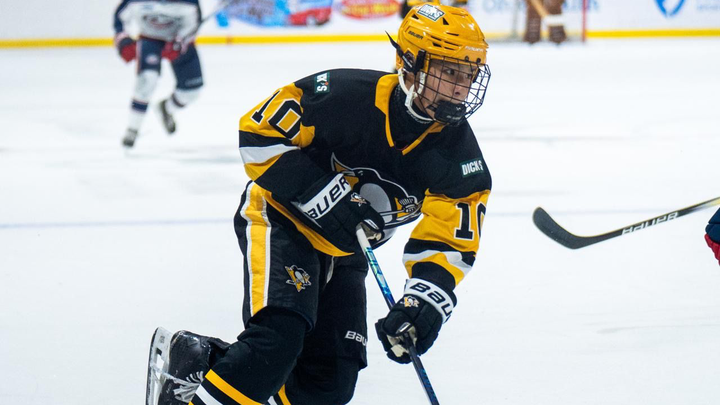 Казахстанский молодой хоккеист стал лучшим бомбардиром в США