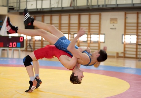 Грек рим күресі. Палуандар Семейге жиналды