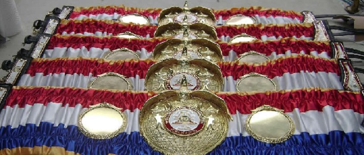 Дүниежүзілік бокс қауымдастығы "суперчемпион" атағын беретін болды