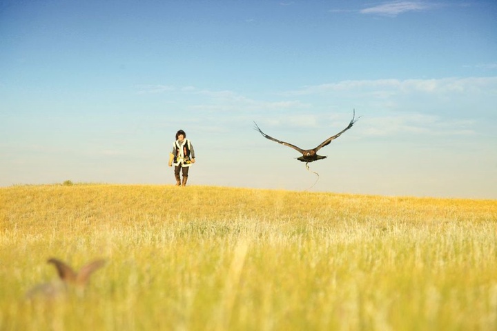 Моңғолиядағы қазақтар құсбегілікті жаңғыртуға үлкен үлес қосуда