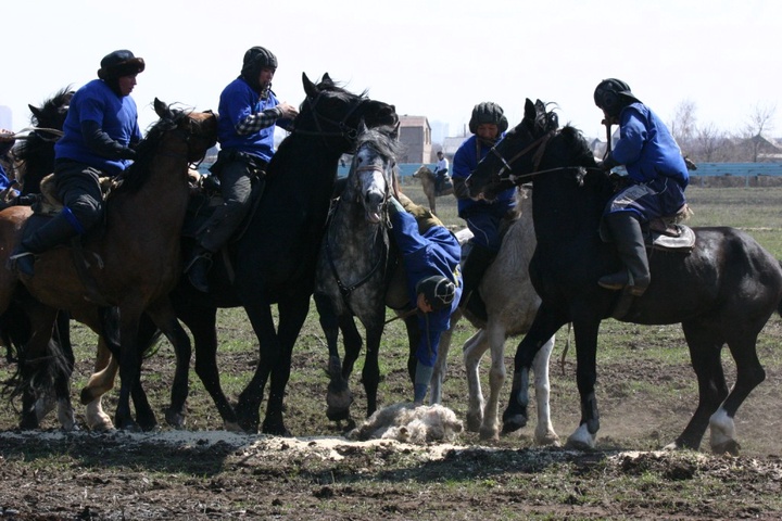 Көкпар. Оңтүстік Қазақстан облысы - Астана қаласы (ВИДЕО)