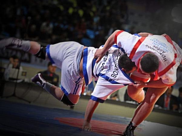 Палуандар Таразға жиналуда