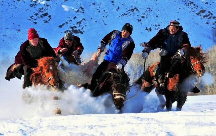 Көкпарда тартатын серкеге байқау жарияланды