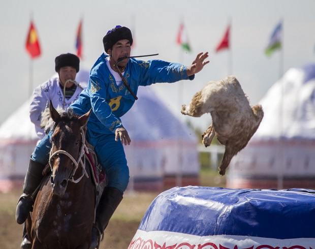 Қазақстан көкпарды патенттеу мақсатында жұмыс істеуде – Т.Есентаев