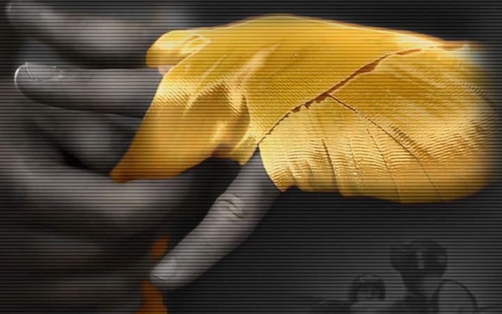 Болгарияда бокстан жастар арасындағы Әлем чемпионаты басталады