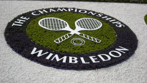 Wimbledon-2014. Кукушкин мен Шведова екінші айналымға өтті