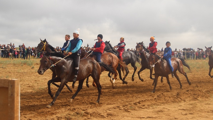 160 тұлпар бәсекеге түсетін «Алтын тұлпар» Республикалық аламан бәйге өтеді