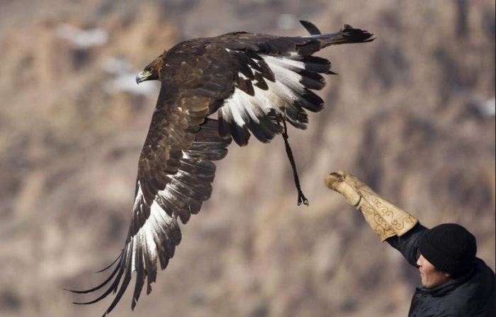 Әр өңірде ұлттық спорт мектептерін ашу қажет - Е.Қанағатов