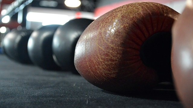 Кәсіпқой бокс. Роман Жайлауов, Дәурен Елеусінов, Жан Кособуцкий 