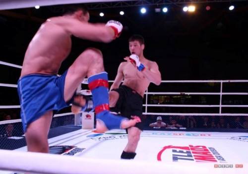 Оралда «Номадтар шайқасы - 3» аралас жекпе-жек чемпионатының финалдық сайысы өтті